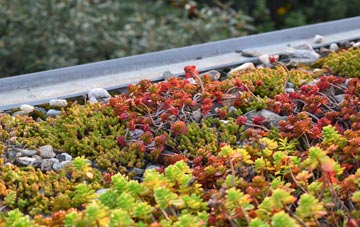 the cost of Hounslow green roof installation