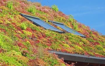 Hounslow living roof systems